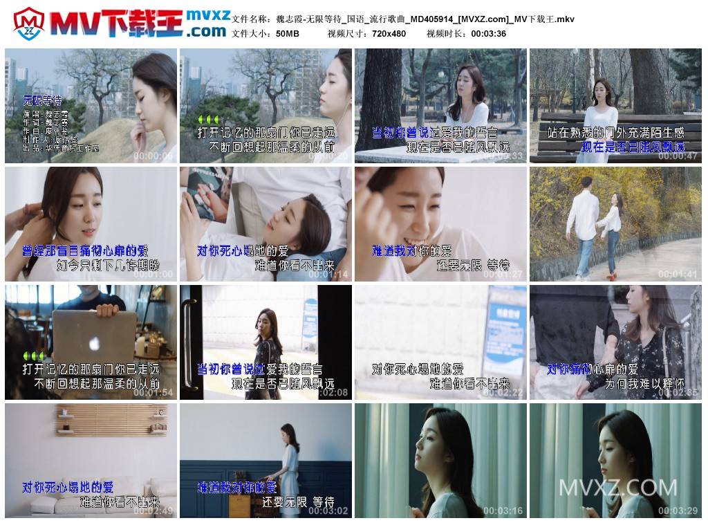 魏志霞-无限等待_国语_流行歌曲_MD405914